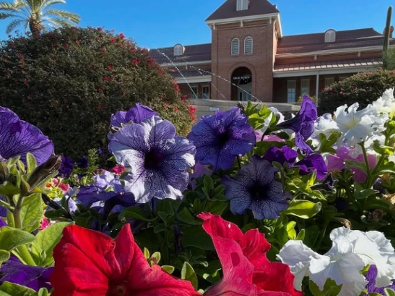 Image of flowers in front of Old Main